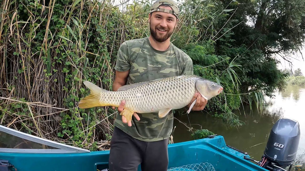 КРУПНЫЕ САЗАНЫ НАЙДЕНЫ! Рыбалка в низовьях Волги! смотреть онлайн