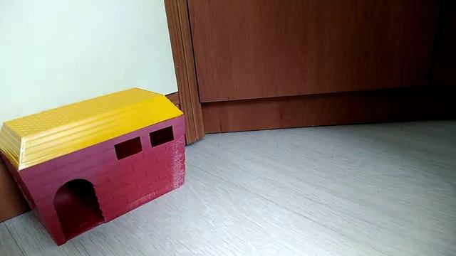 Посылка для канала аоделки для джунгариков! смотреть онлайн