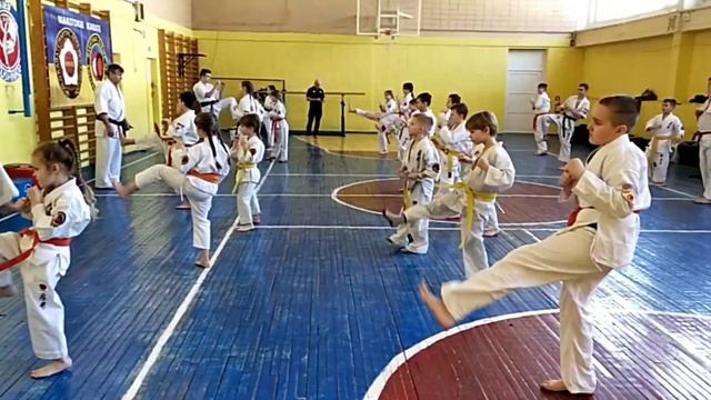 Макотокай карате. Атестація. Доджьо Віктор Лященко, 7 Дан. ГО "ФМКУ" Марія Пастух. 13.02.2022р. смотреть онлайн