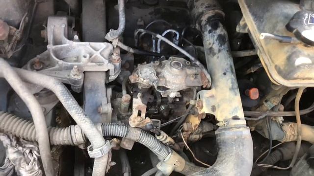 Файтинг-шоуман