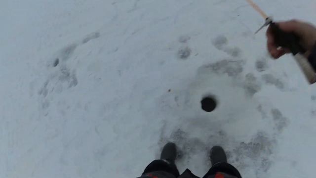 Вода начала отступать, бели нет, но есть окунь на червя. смотреть онлайн