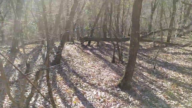 Гренни живет в ЛЕСУ, охота на бабку GRANNY смотреть онлайн