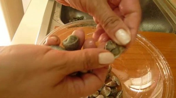 Cucinare le Vongole Clams Recipe Морские Ракушки Рецепты