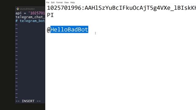 Setting up Badbot Project смотреть онлайн