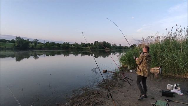 Белый Амур моей мечты. 2,4 кг. Рыбалка с ночевкой смотреть онлайн