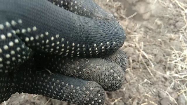 КОП 2021,НАШЕЛ ДОВОЕННУЮ ГЕРМАНСКУЮ МОНЕТУ И ИНТЕРЕСНУЮ ПУГОВИЦУ, КОП С НОКТА МАКРО СИМПЛЕКС ПЛЮС. смотреть онлайн