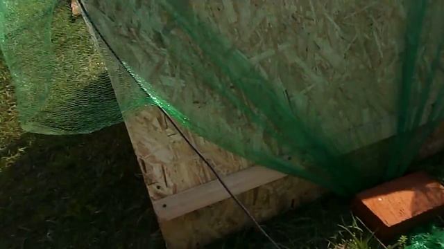 Мобильный цыплятник из двух листов ОСП смотреть онлайн