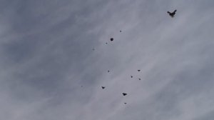 Голуби Димитрово Красота да и только     ДУБЛЬ      3         ВАЛЕР А