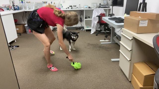 Еда и Игра смотреть онлайн