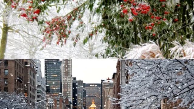 Волшебная музыка зимы.Падал снег -Сергей Чекалин смотреть онлайн