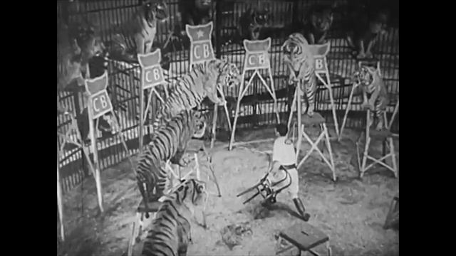 Circus Slaves смотреть онлайн