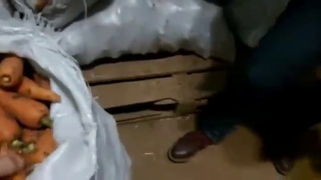 Морковь Боливар смотреть онлайн