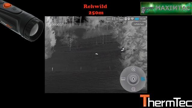 Wärmebildkamera - Test im Revier - ThermTec Cyclops 650 Pro Rehwild auf 250m | Jagd смотреть онлайн
