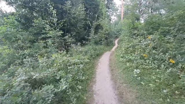 Не купайте собак в озёрах! ОТДЫХ на озере и даче! смотреть онлайн