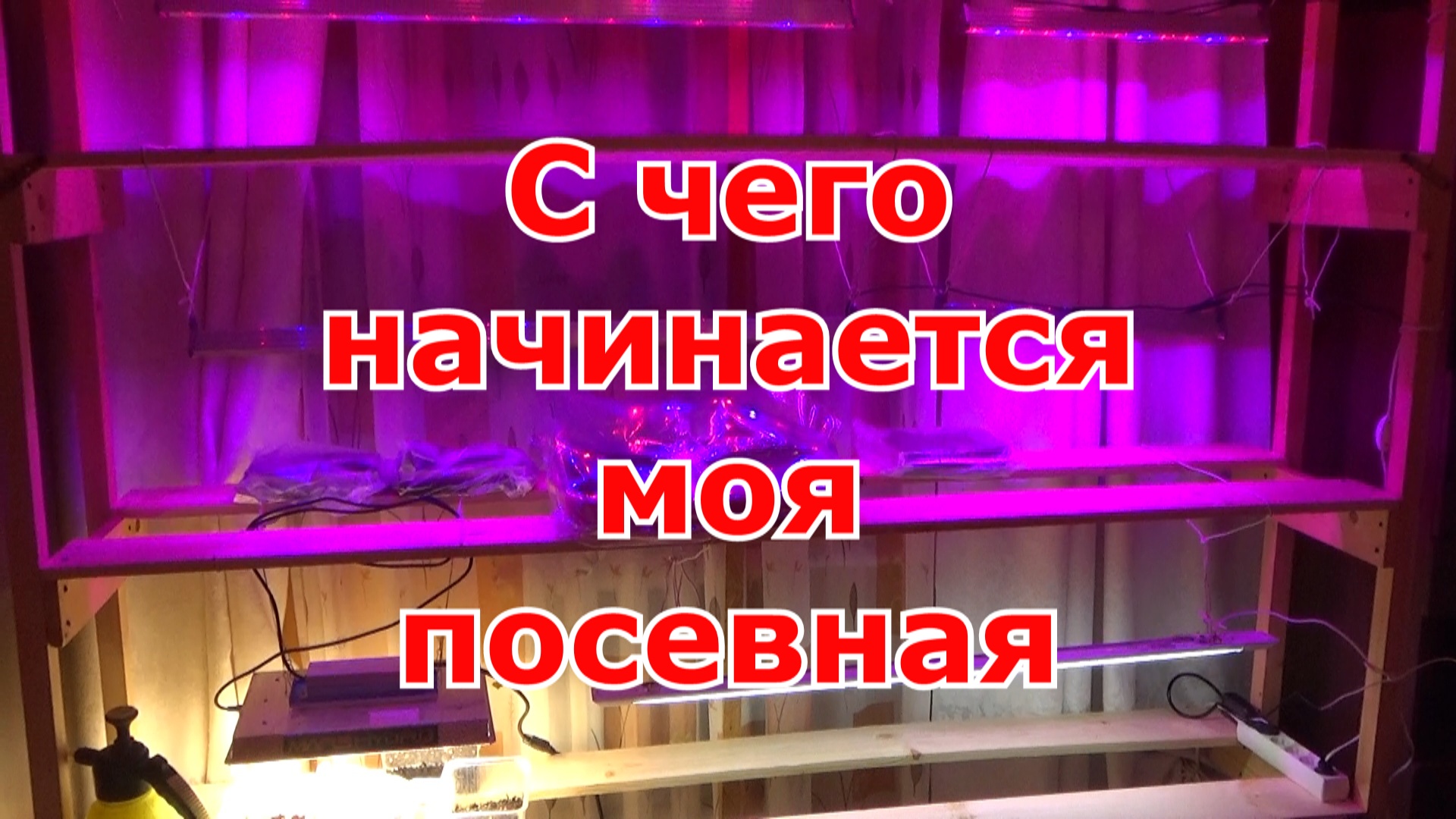 Первый Загородный с Ольгой