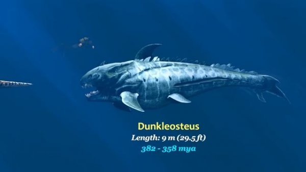 Sea Monsters Size Comparison. The Largest Sea Animals, Living and Prehistoric