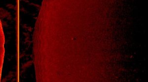 Garmin не видит рыбу?! Разбираем скриншоты с Garmin ECHOMAP  Ultra с датчиком GT-56.