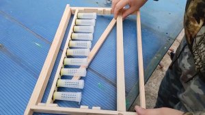 ПРИВИВОЧНАЯ РАМКА  ДЛЯ ВЫВОДА МАТОК СВОИМИ РУКАМИ