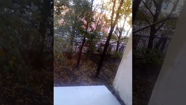 Около школы несут ГРОБЫ С МУМИЯМИ!!! смотреть онлайн