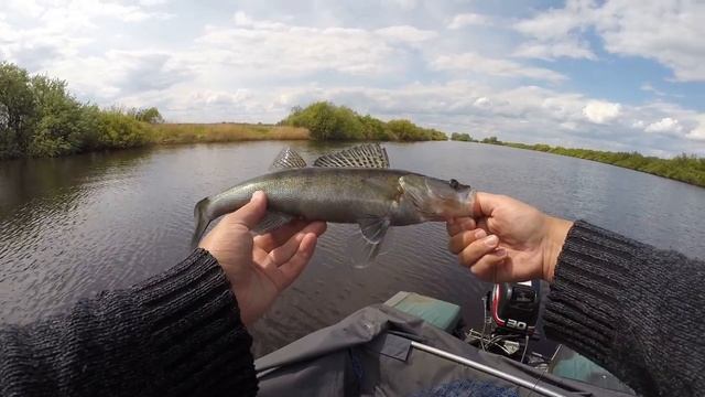 Ловля судака на джиг и щуки на колеблющуюся блесну с катера/лодки. Рыбалка на спиннинг 2016 смотреть онлайн