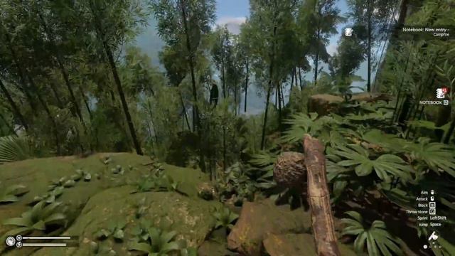Returning to Green Hell - A Sad Hut смотреть онлайн