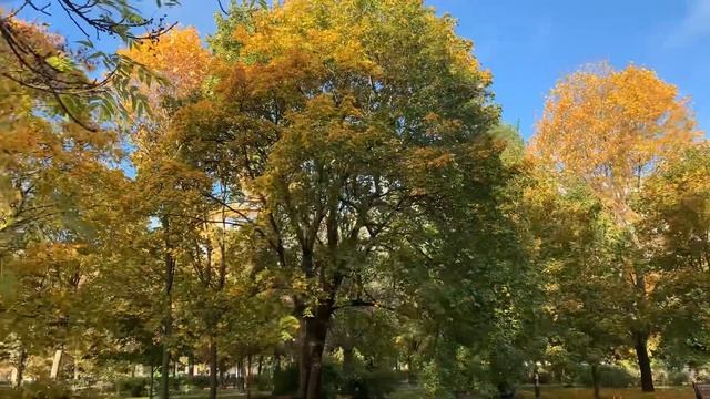 Золотая осень в Петербурге. Унылая пора! Очей очарованье-это не про нашу осень. смотреть онлайн