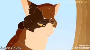 Пестролистая (Коты Воители Клип)