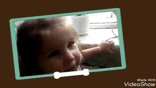 Мой попугай. Вешаем зеркало в клетку смотреть онлайн