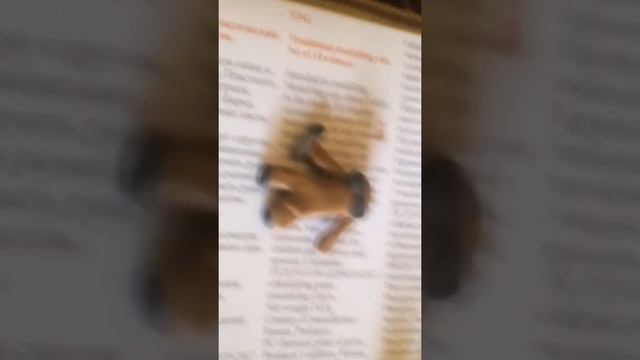 Леплю мини аниматроника Фредди смотреть онлайн