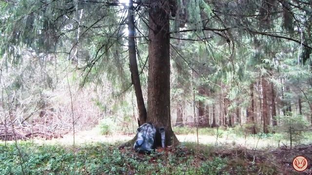 Сделал и повесил очередную ловушку на пчёл. Скрута из ДВП. Повесил на ель, лесок у поля смотреть онлайн