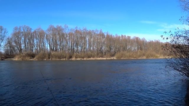 ДРОП ШОТ СРАБОТАЛ, КОГДА НЕ КЛЮЕТ. НОВЫЙ ОПЫТ В ЛОВЛИ смотреть онлайн