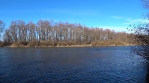 ДРОП ШОТ СРАБОТАЛ, КОГДА НЕ КЛЮЕТ.  НОВЫЙ ОПЫТ В ЛОВЛИ