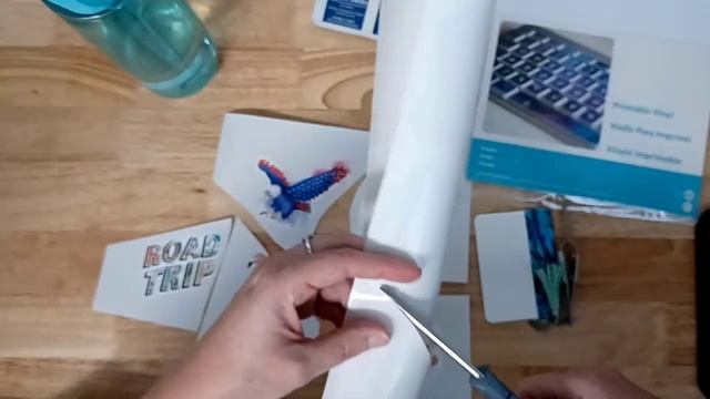 Waterproof Water Bottle Decals with Silhouette Printable Vinyl & Oracal 651 смотреть онлайн