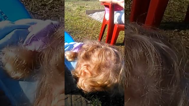 Короче говоря мне приснился сон!!! смотреть онлайн