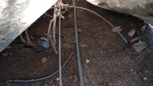 Виноград Байконур под укрывным материалом. Апрель 2018 смотреть онлайн