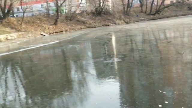 КРХ Белая Дача смотреть онлайн