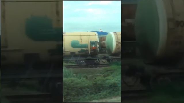 Конец путешествия в зоопарк Сказка #велесмастер #животные #зоопарк смотреть онлайн