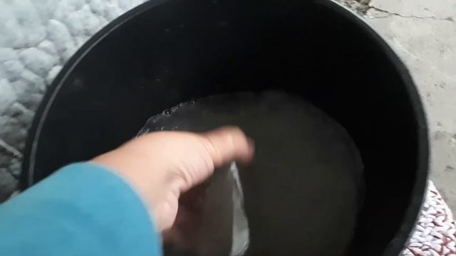 СРОЧНАЯ ПОДКОРМКА ДЛЯ РОСТА РАССАДЫ!!! смотреть онлайн