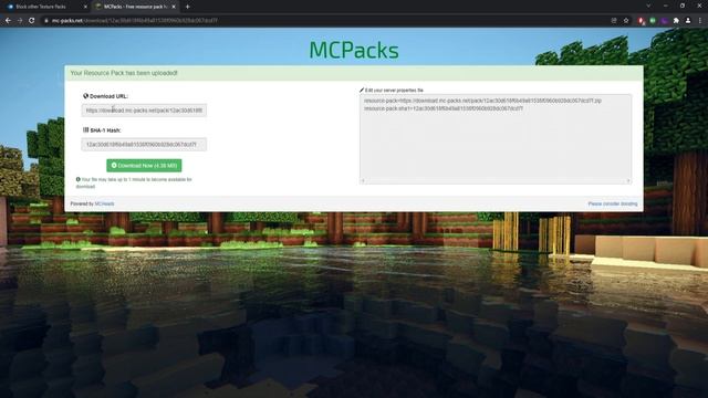 This X-Ray Blocker for Minecraft Servers Needs No Plugins! (read description) смотреть онлайн