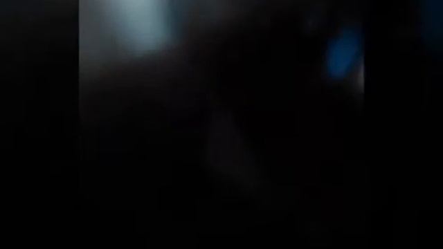 Вызыв духа:Египетский кот это миф смотреть онлайн