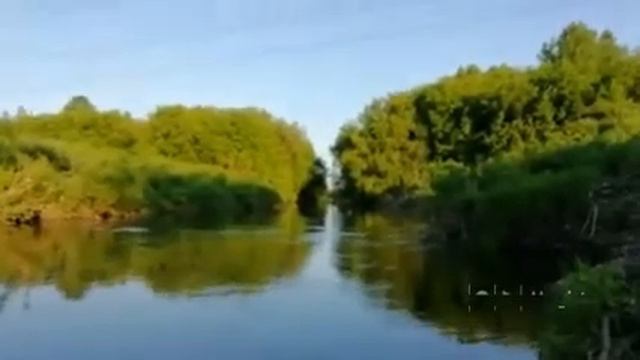 река Иня 23.05.20 смотреть онлайн