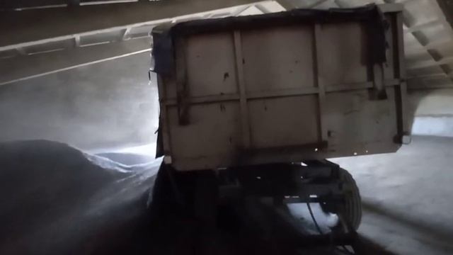 #6 Продолжаем возить подсолнух трактором МТЗ.82 смотреть онлайн