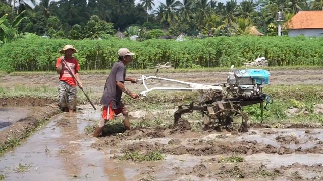 Indonesia 2017 - honeymoon in Java, Bali and Komodo смотреть онлайн