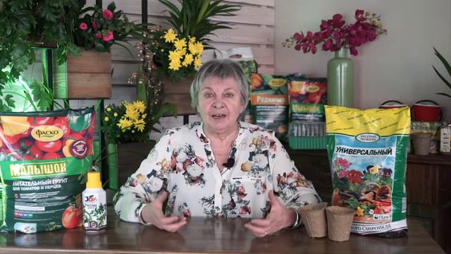 Не покупайте готовую рассаду - Хитсад