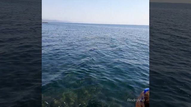 катер гоночный в черном море смотреть онлайн