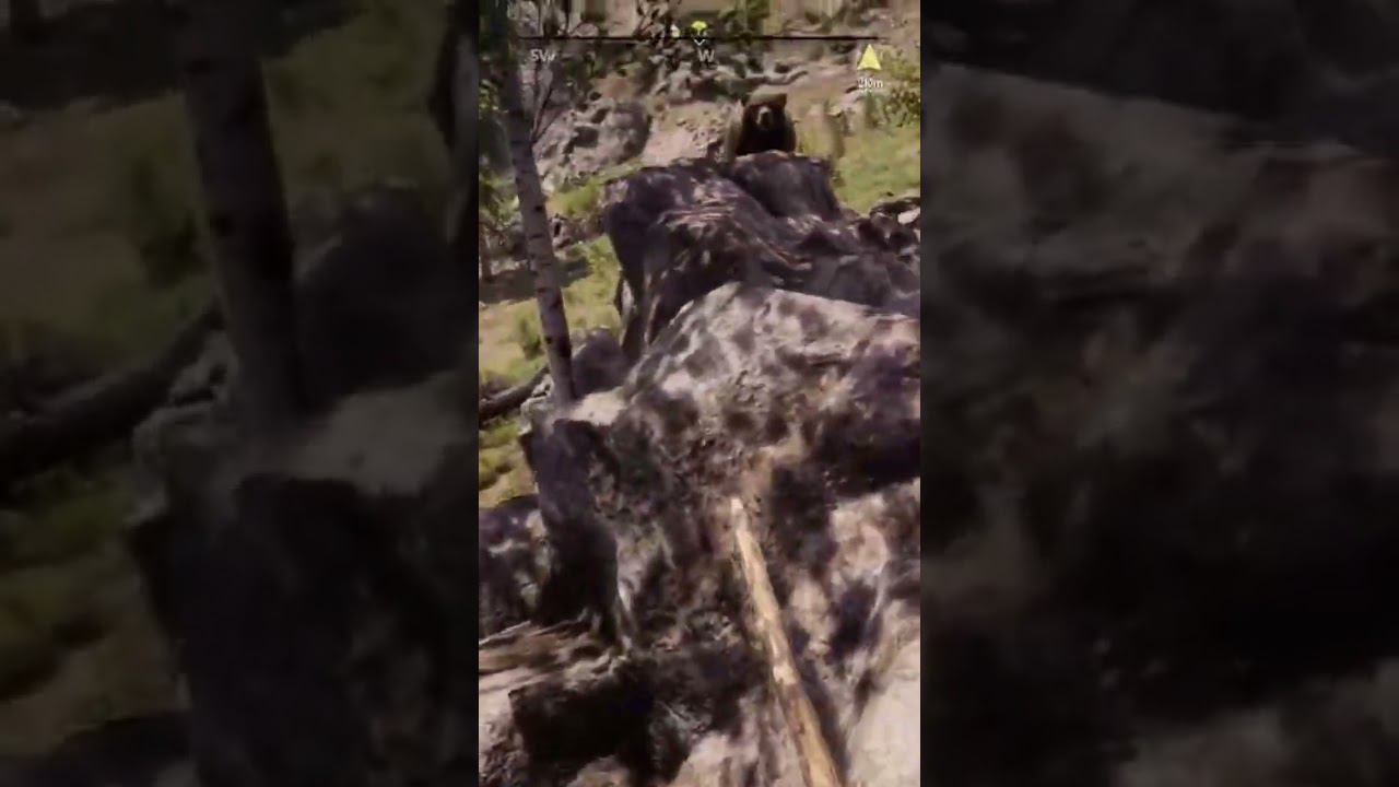 Нарвался на медведя смотреть онлайн