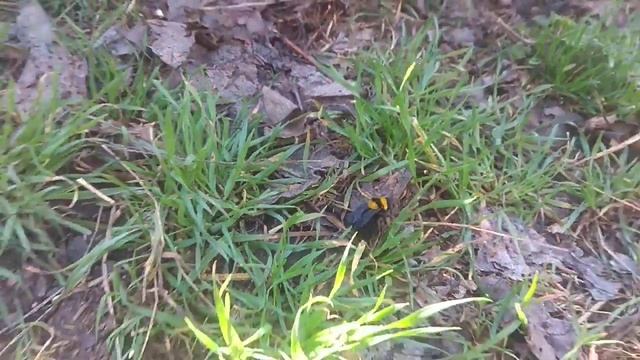 Пришла весна смотреть онлайн