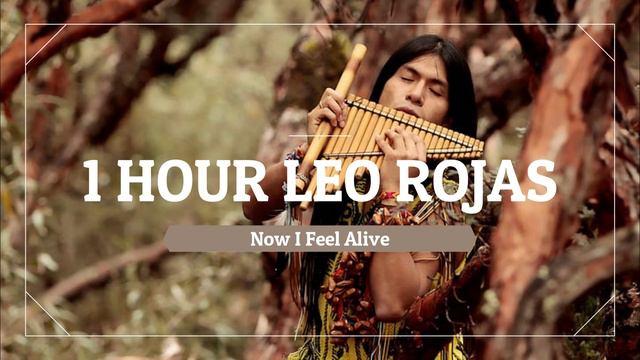 Leo Rojas - Now I Feel Alive (1 HOUR ) смотреть онлайн