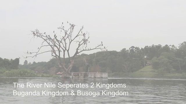 The Source of River Nile Tour; Jinja, Uganda смотреть онлайн