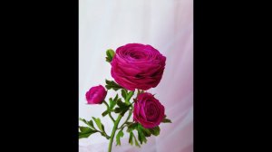 Ранункулюс из холодного фарфора. Часть 5. Сборка ветки.